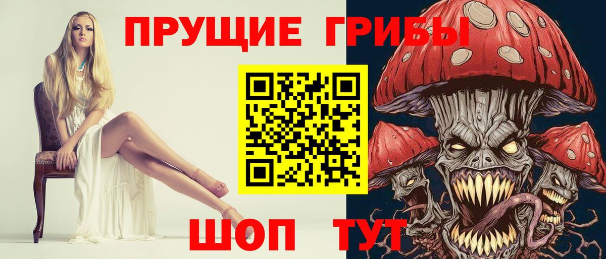 Псилоцибиновые грибы мицелий  Вход с VPN  Галлюциногенные грибы Psilocybe  Элиста 